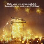 24-Pack Mini LED Fairy String Lights (Warm White)