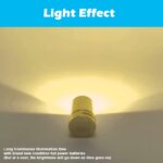 10-Pack Miniature LED Lights, Battery Powered (Warm White)