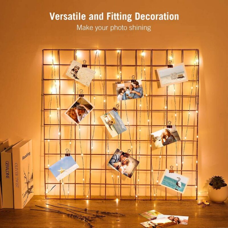 24-Pack Mini LED Fairy String Lights (Warm White)