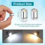30-Pack Miniature LED Lights with Batteries (Warm & Cool White)
