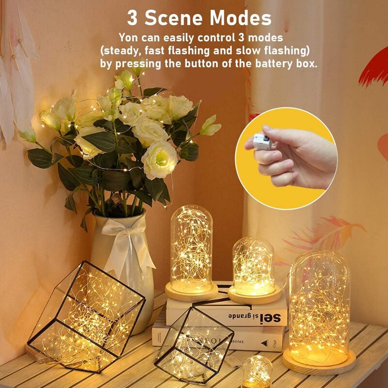 24-Pack Mini LED Fairy String Lights (Warm White)