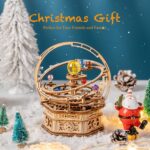 Rokr Starry Night 3D Wooden Music Box Puzzle